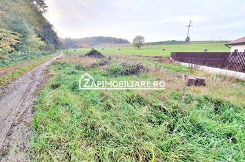 Teren 780 mp.cu puz si utilităti,zona Boema anunturi imobiliare Mures