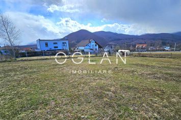 Teren de vanzare CISNADIOARA - Sibiu anunturi imobiliare Sibiu