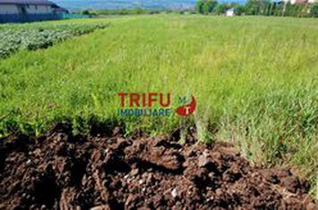 Teren Intravilan de vanzare CENTRAL - Alba anunturi imobiliare Alba