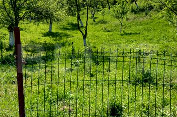 Teren de vanzare STREMT - Alba anunturi imobiliare Alba