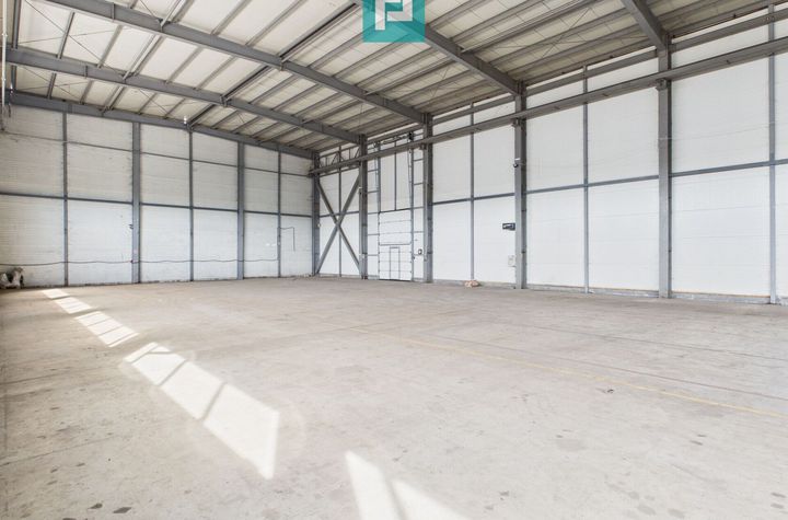Hală industrială cu pod rulant de 3 tone în Arad anunturi imobiliare Arad