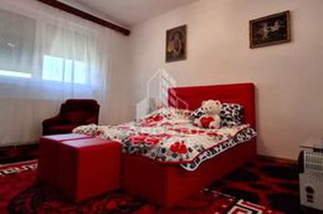 Casa de vanzare in Ineu formata din 2 cladiri anunturi imobiliare Arad