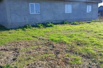 casa la rosu Pecineaga anunturi imobiliare Constanta