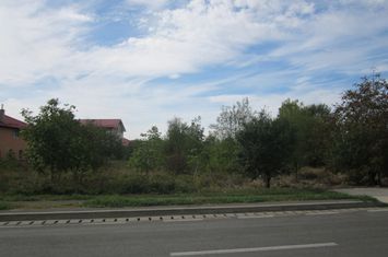 Teren Intravilan de vanzare DOMNESTI - Bucuresti anunturi imobiliare Bucuresti