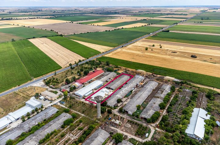 Spațiu abatorizare și procesare carne DN7  -  Nădlac anunturi imobiliare Arad