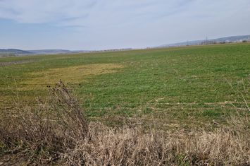 Teren de vanzare SIMNICU DE SUS - Dolj anunturi imobiliare Dolj