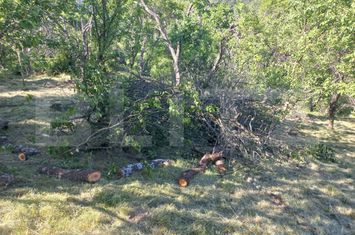 Teren de vanzare VINTU DE JOS - Alba anunturi imobiliare Alba