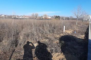 Baneasa, Drumul Muntele Gaina - Teren intravilan de vânzare – 1000 mp anunturi imobiliare Bucuresti