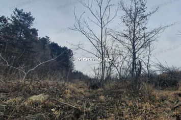 Teren de vânzare în Câmpina (zona Semicentrală) anunturi imobiliare Prahova