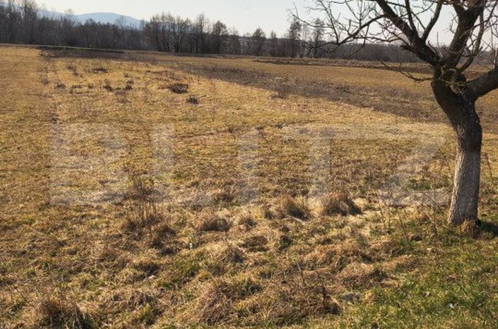 Teren de vanzare SATU MARE - Satu Mare anunturi imobiliare Satu Mare