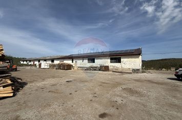 Hala-depozit de vanzare-800 mp-Sic- Investitie anunturi imobiliare Cluj