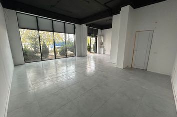 Spatiu Comercial 55mp Evogue Residence anunturi imobiliare Bucuresti