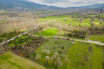 Teren agricol 3125 mp în Mesotopos, Kavala anunturi imobiliare Grecia