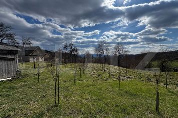 Casă - 2 camere de vanzare BUCIUM - Alba anunturi imobiliare Alba