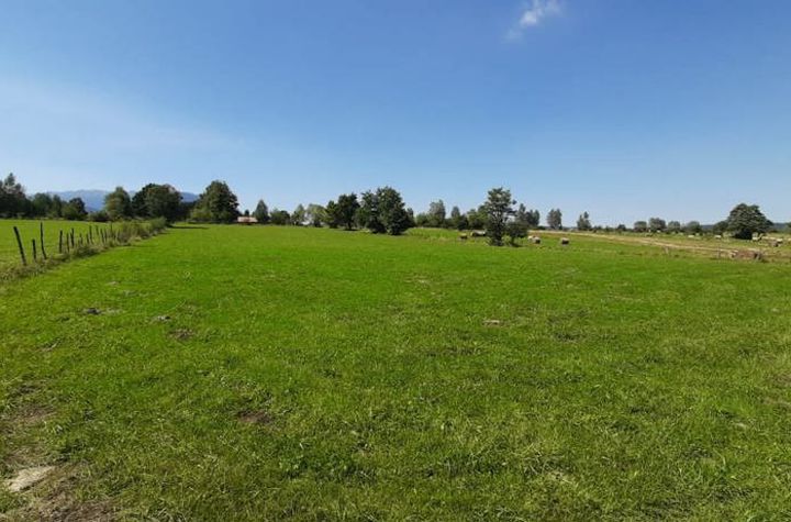 Teren de vanzare BRAN - Brasov anunturi imobiliare Brasov