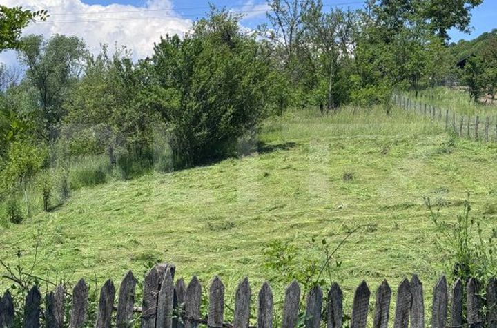 Teren de vanzare BEZDEAD - Dambovita anunturi imobiliare Dambovita