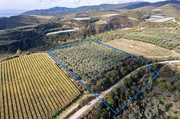 Teren 11.188 mp în Paralia Folias, la 1 km de mare anunturi imobiliare Grecia