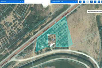 Teren agricol cu măslini 3.148 mp în Neos Xerias anunturi imobiliare Grecia
