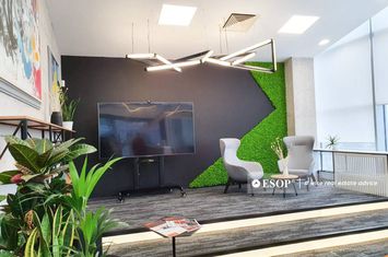 Birou de inchiriat COTROCENI - Bucuresti anunturi imobiliare Bucuresti