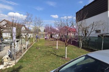 Teren intravilan de vanzare 500 mp in Campina, Oportunitate anunturi imobiliare Prahova