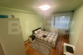 Apartament 2 camere de vanzare COMPLEX STUDENTESC - Timis anunturi imobiliare Timis