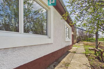 Casă cu 3 camere și 1047 mp în Peregu Mic anunturi imobiliare Arad