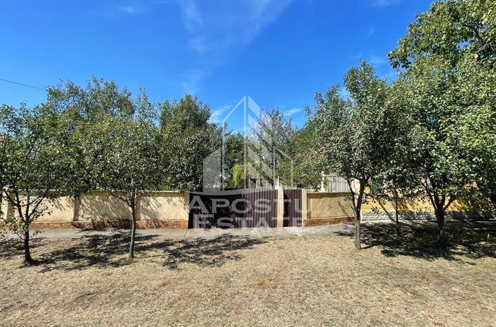 Teren 1680 mp, Seceani, 26 Km de Timisoara, COMISION 0%. anunturi imobiliare Timis