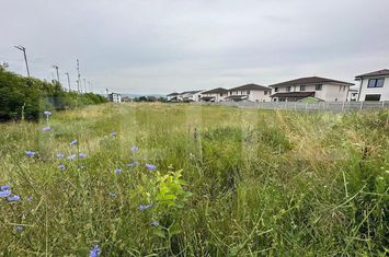 Teren de vanzare CETATE - Alba anunturi imobiliare Alba