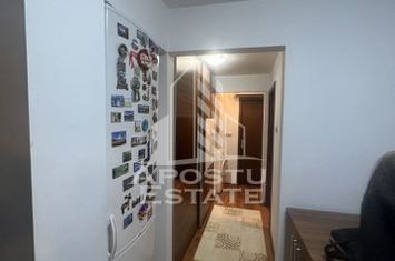 Apartament 3 camere modernizat anunturi imobiliare Timis