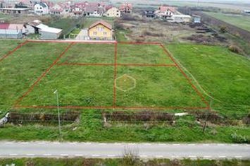 Teren Intravilan de vanzare NORD - Satu Mare anunturi imobiliare Satu Mare