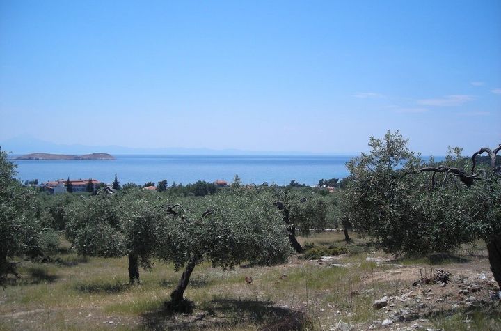 Parcelă 34.105 mp în Astrida, Thassos anunturi imobiliare Grecia