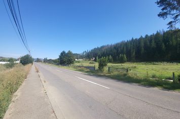 Teren de vanzare GURA HUMORULUI - Suceava anunturi imobiliare Suceava
