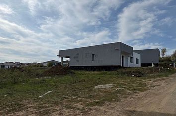 Teren intravilan 650 mp de vanzare in Paleu anunturi imobiliare Bihor