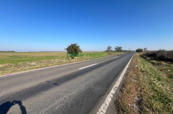 TEREN DE VÂNZARE ÎN FRUMUȘANI DN 4 - STRADAL anunturi imobiliare Calarasi