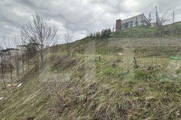 Teren de vanzare BACIU - Cluj anunturi imobiliare Cluj