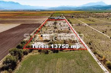 Teren Industrial Sere Codlea anunturi imobiliare Brasov