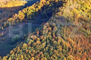 Teren de vanzare MARISEL - Cluj anunturi imobiliare Cluj
