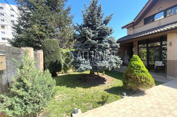 Casă - 6 camere de vanzare COICIU - Constanta anunturi imobiliare Constanta