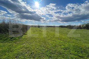 Teren de vanzare RANCACIOV - Dambovita anunturi imobiliare Dambovita