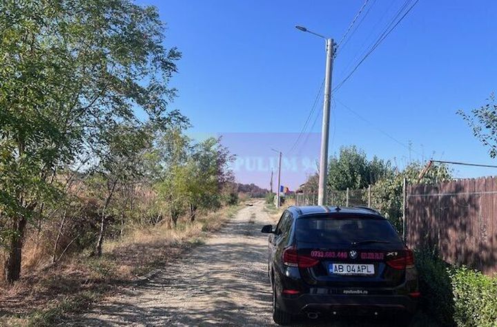 Teren Cornetu Strada Magnoliei- Pinului. anunturi imobiliare Bucuresti