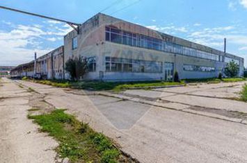 Hală industrială de închiriat anunturi imobiliare Cluj