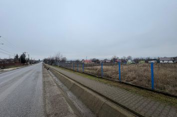 Teren de vanzare TIGANASI - Iasi anunturi imobiliare Iasi