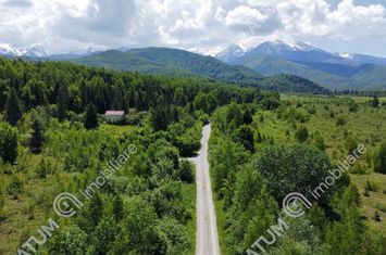 Teren Intravilan de vanzare AVRIG - Sibiu anunturi imobiliare Sibiu