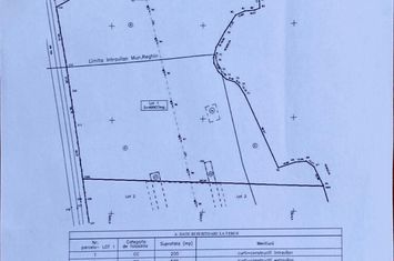 Teren 50000 mp, intravilan, Reghin, 0% comision anunturi imobiliare Mures