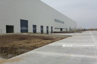 Spațiu industrial de închiriat Giurgiu - Bolintin-Deal