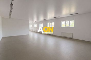 Spațiu Comercial, 280mp, Compartimentare Flexibilă, Zona Ampoi 3 anunturi imobiliare Alba