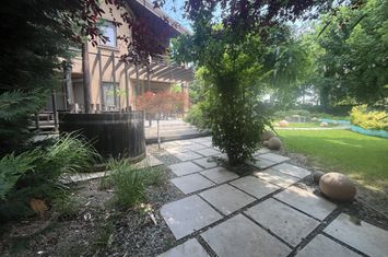 ANDRONACHE | Vila 4 Camere | Garaj  | Curte Verde | Ciubar & BBQ anunturi imobiliare Bucuresti