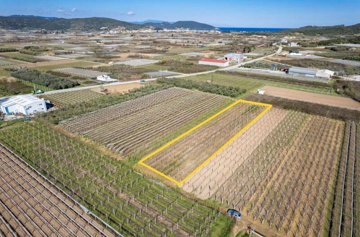 Teren agricol 2.235 mp în Elaiochori anunturi imobiliare Grecia