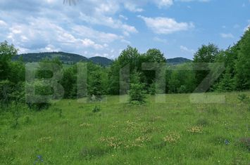 Teren de vanzare SCARISOARA - Alba anunturi imobiliare Alba