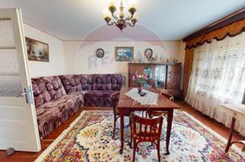 Casa spatioasa, frumoasa si versatila in Seica Mare anunturi imobiliare Sibiu